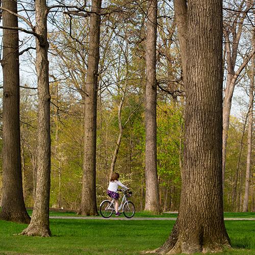 Women riding a bike on a path among trees